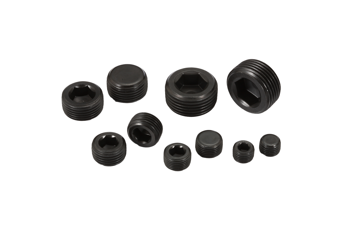 Hexagon Socket Headless Taperes Pips Plugs